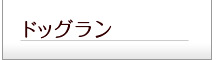 ドッグラン